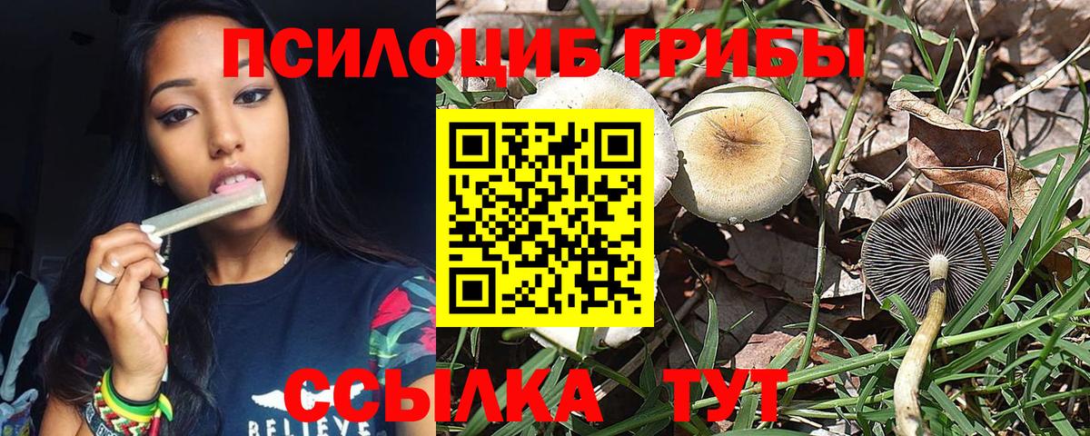 Галлюциногенные грибы Psilocybe  Вход с VPN  Сатка  Галлюциногенные грибы MAGIC MUSHROOMS 