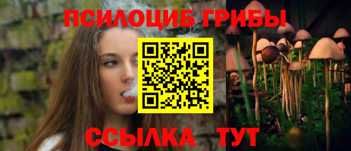 Галлюциногенные грибы Psilocybine cubensis Сатка
